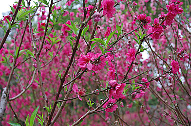 福建导航：驾驭山海，墨西哥的蜿蜒诗篇-4