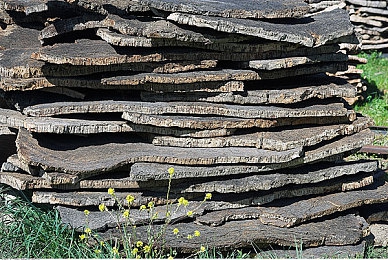 十大禁止安装应用：驾驭数字风险，赢取极速赛道终极掌控权-4