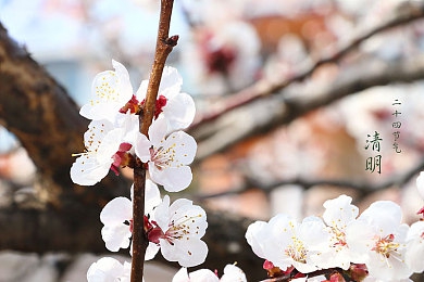 爱情岛成人：极速心跳，热带赛道上的浪漫交锋-2