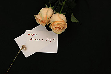 同性恋 sm 调教：极致掌控，硬核竞速新作《赛道支配者》开启人车对话艺术-4