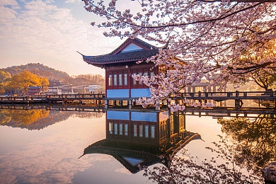 色黄app下载3.03：极速狂飙新版上线，视觉与物理双革新带来沉浸驾驶体验-5