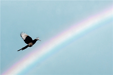 苏州粉丝晶体：未来东方竞速新作，赛博苏州赛道与晶体能源玩法首曝-3