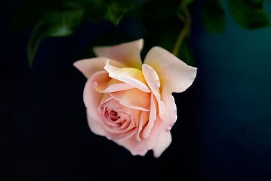 黄色APP下载oppo：极速黄潮来袭，色彩赛道竞速新体验，OPPO设备专属优化-5