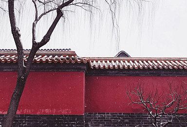 国内禁搜十八大软件：极速封锁线新资料片上线，双轨挑战系统颠覆模拟赛车体验-5