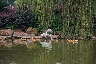 男生和女生做爱软件：编程编织心动情缘，体验代码中的情感互动之旅-2