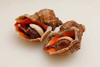 男生和女生一起查查查带疼痛的东西正常吗：竞速新纪元，疼痛反馈重塑真实驾驶体验-2