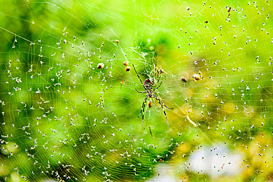 黄色软件app下载3.0.3免费OPPO版大全装扮2023：OPPO设备专属优化，街头竞速新版本海量装扮免费获取-4