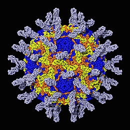 中文国产成人：东方幻想竞速新作《风驰九州》上线，水墨国风与硬核驾驶完美融合-2