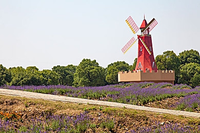 男生和女生叉叉叉aPP：双人竞速新纪元，性别协作引爆赛道终极默契-3