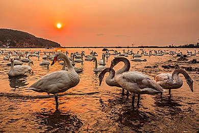 黄色软件3.0在线观看：地下赛车模拟新作引热议，硬核改装系统直面道德边界-2