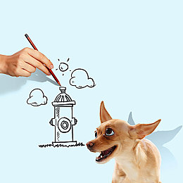 老师让你捅个够：极限驾驶学院今日上线，硬核赛车模拟颠覆你的驾驶认知-2