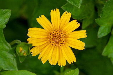 打朴克又叫又痛：当策略卡牌在竞速赛道轰鸣碰撞-3