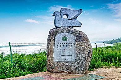 国产乱伦。:家族纷争与速度对决,国产赛车新作颠覆竞速游戏传统-5