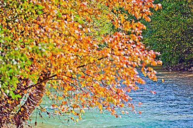 黄色b站：当速度邂逅社区，地平线上的亮黄信仰-5