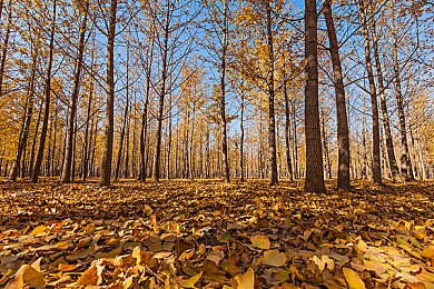 同性Gay   做受小：极速搭档双人共舞，攻防转换间成就赛道默契艺术-4
