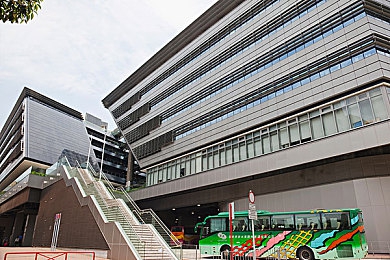 免费破解黄软件：地平线5隐藏黄色丰田Supra，全收集攻略揭秘传奇跑车-3