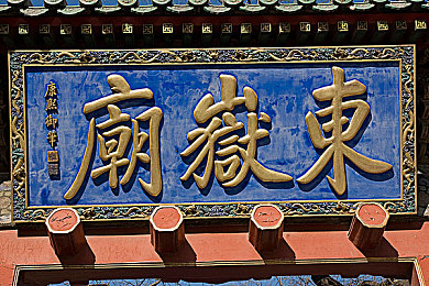 篮球肌肉体育生被训成建构：从球场扣篮到城市建造，运动天才的奇幻转型之旅-1