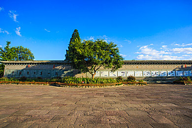 114人文大但艺术更新平台：极限竞速地平线，永续绽放的数字人文风景画卷-3