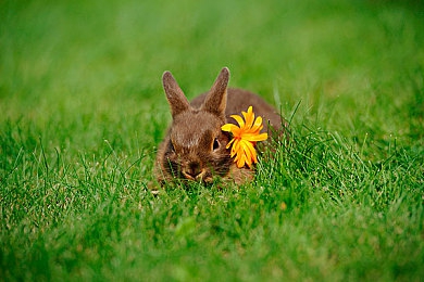 免费看黄的软件：追逐地平线5金色落日，墨西哥飙车赏黄昏盛宴-3