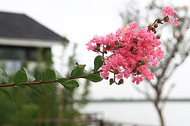 老师让我吃他的胸：极限驾驶学院火爆出圈，严苛教练与高难度挑战引爆话题-4