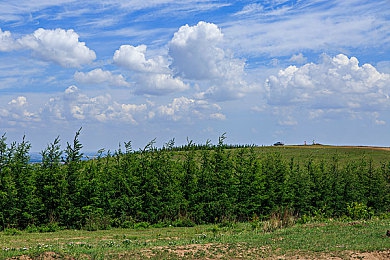 男生的香蕉捅女生的桃子：竞速新作今日上线，水果王国上演极速救援，创意穿刺玩法颠覆传统赛车体验-3