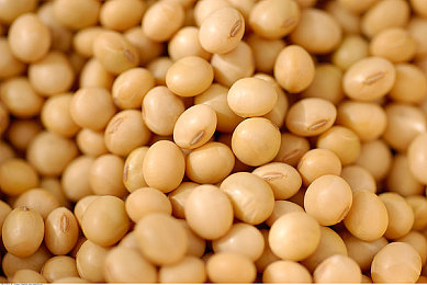 丈夫旁观娇妻3p：极速羁绊，赛道三角，霓虹夜幕下的放手与胜利-1