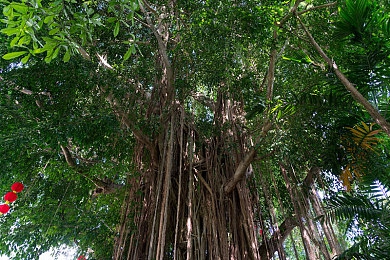 男生和女生差差差视频软件：竞速新维度，差异策略驱动，赛道社会学实验-5