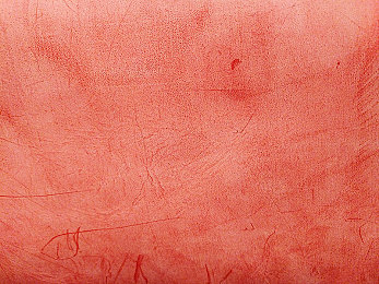 打扑壳不盖被子怎么办？：《极速逃亡》战术解析,战后护甲修复成决胜关键-2