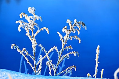 oppo破解版：越狱狂飙，解锁赛道尽头的终极驾驭哲学-5