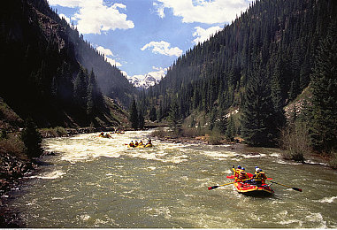 软件app下载3.0.3免费装扮2023：霓虹复兴，街头艺术与竞速激情的终极改装盛宴-3