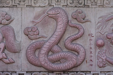 鸡巴 软件：虚拟改装革命，数字赛道上的终极驾驶体验-3