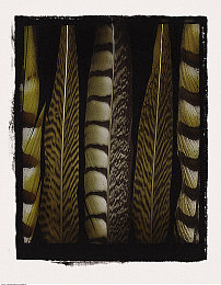 管饱分拣中心：废墟中的裁决者，传送带上的生存博弈-3