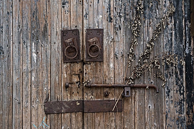 精品牛牛：狂野竞速新体验，策略驾驶征服多变赛道-3