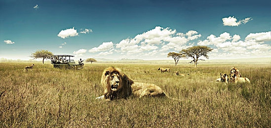 99热在这里：墨西哥画卷，永不降温的速度乐园-5