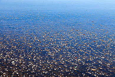 oppo破解版：越狱狂飙，解锁赛道尽头的终极驾驭哲学-5