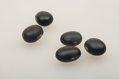 床上拨萝卜：沙地疾驰精准收集，改装农车竞速收获双重乐趣