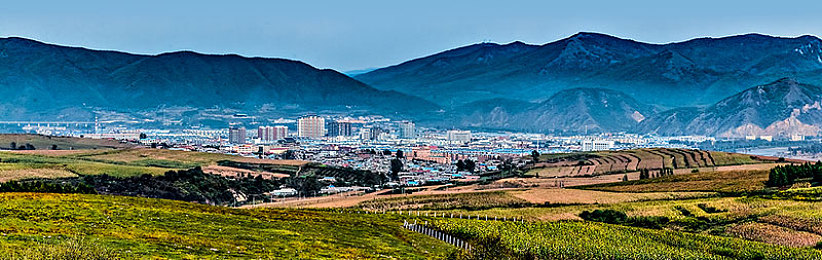 罗宾帮乔巴度过青春期：当引擎学会成长，改装承载友谊的竞速之旅-5