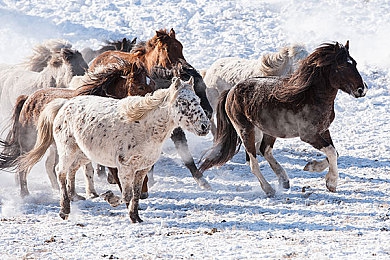 色多多A V：霓虹幻影，疾驰于流动光谱的极速盛宴-2