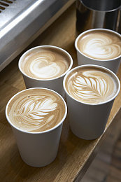 自由场景汇编自由性别性别和自由性:自定义方向盘后的无限光谱,驶向地平线的身份之旅-2