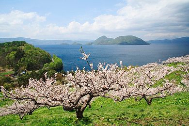 免费黄色软:地平线5火山冲刺攻略,三步解锁稀有金属漆奖励-5