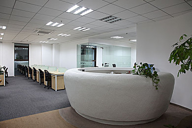 黄色应用有哪些：极限竞速地平线5亮黄涂装，视觉与速度的艺术融合-2