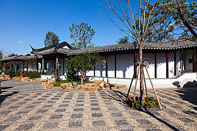 男人和女人的搞基软件:双核共驾,赛道上的默契共生交响曲-2