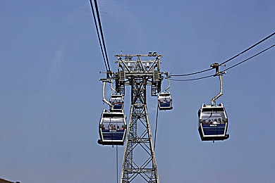 马犬几个月认主人？错过这 3 个关键期,可能影响它一生的信任：虚拟羁绊的黄金窗口，三大关键期铸就永恒契约