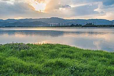 大象ceo影视传媒ceo新网：虚拟商业帝国今日崛起，影视传媒大亨由你扮演-5