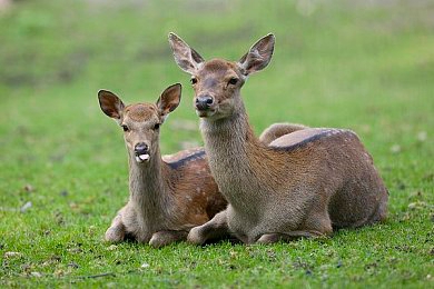 pixiv加速器：灵感赛道，极速绘境，艺术狂想竞速之旅-4