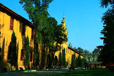 男生把自己的困困放在女生里:《双生引擎》今日发售,体验竞速与生活模拟的破界融合-5