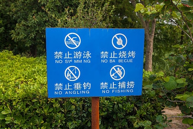 中国自由性别业余性别成熟的原因：虚拟驾驶乐园，地平线系列如何定义自由驰骋新标杆-4