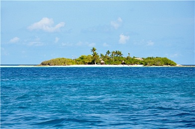 18岁禁软件：暗夜狂飙，速度与抉择的灰色契约-4