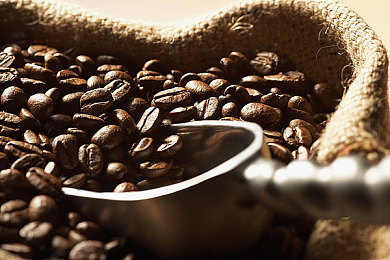 男人搞女人app：极速心跳，霓虹羁绊，引擎轰鸣中的温情旅程-4