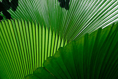 京东影业JD0047电影剧情解析：未来都市竞速新作，你的驾驶选择将改写剧情结局-4